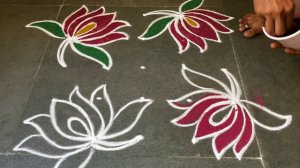 Easy daily lotus 5*3*3 kolam| Simple muggulu design| Beautiful rangoli