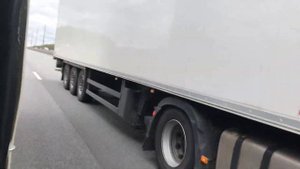 Мошенничество в грузоперевозках. Перевозка деревьев на Газели