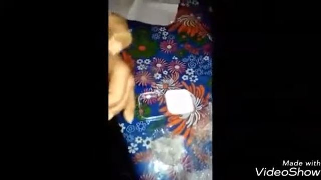 micro hidden Bluetooth earpiece / bluetooth spy earpiece wireless and invisible смотреть онлайн