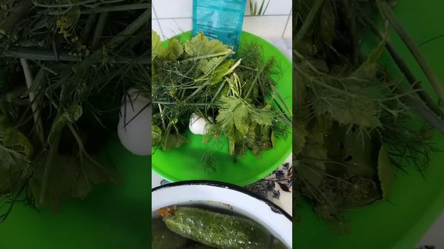 Малосольные огурчики.