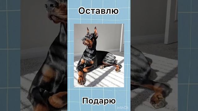 оставить себе или подарить лучшей подруге ??