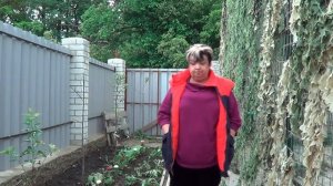 Душистый Табак . Наполните Сад Ароматом. Душистые Однолетние Растения