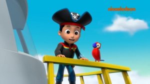 Paw Patrol : la Pat'Patrouille | Pirate Patrouille | NICKELODEON JUNIOR