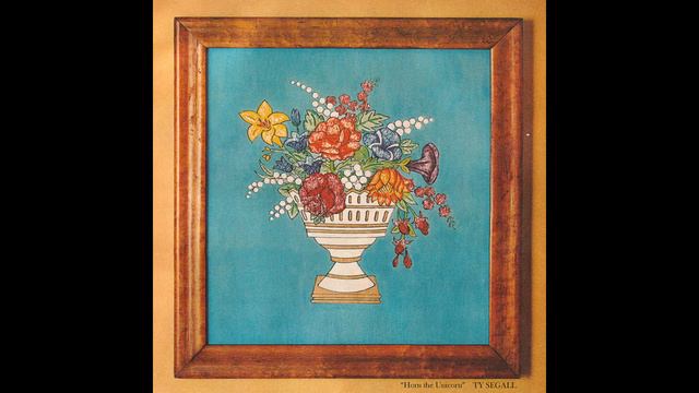 The Frog - Ty Segall смотреть онлайн