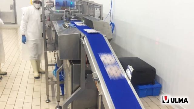 Автоматизированное решение для индивидуальной и групповой упаковки замороженных гамбургеров смотреть онлайн