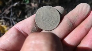 На посадке 1 в поисках советских монет с металлоискателем TX850