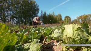 Постепенно заполняют свои закрома