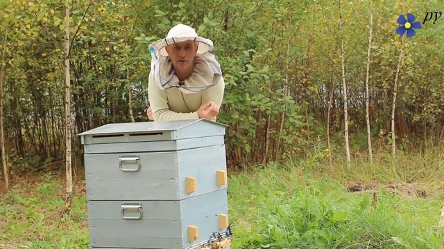 Универсальное средство от болезней пчел: что лечит пчел смотреть онлайн