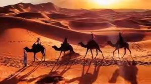 Шикарная Песня! КАРАВАН Обязательно послушайте ! Автор и исп Анатолий Кулагин