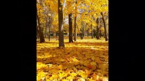 Янтарная Осень...22.10.2023