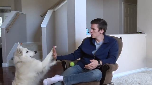 Жизнь в АМЕРИКЕ. Сколько стоит жизнь в США? Наши траты в Калифорнии смотреть онлайн