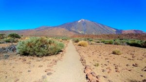 Country Relaxing Music  Кантри Музыка Для Релаксации