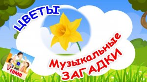 ЦВЕТЫ 1. Музыкальные загадки для детей. Папа V теме