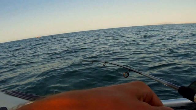 Рыбалка в Керчи / Ставрида смотреть онлайн