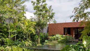 Solid Concrete Roof & Exposed Brick Walls House Design With Garden Full Of Tropical Vegetation