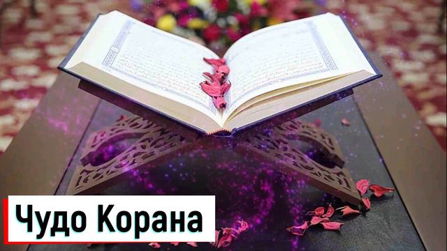 Чудо Корана