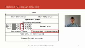 Протокол TCP: формат заголовка | Курс "Компьютерные сети"