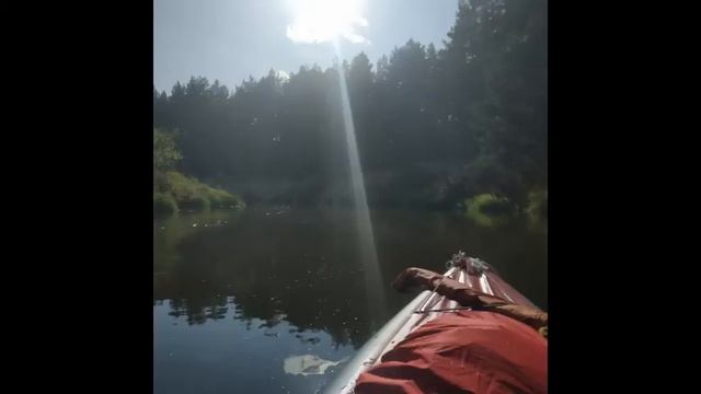 Поход на байдарках по Киржачу смотреть онлайн