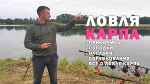 Карпфишинг. Заняли ? место.  Подробно как мы ловили сазана и карпа. Секреты корма и насадок.