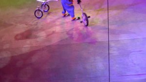 Национальный цирк новогоднее шоу