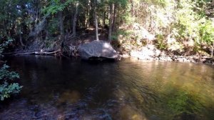 KastKing Kestrel Elite BFS - Field Review - BFS Trout Fishing