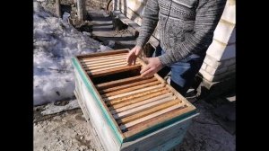 Принцип работы в ульях лежаках полный цикл  Work in beehives loungers from A to Z