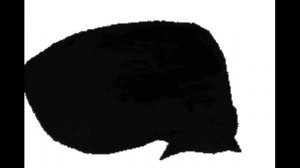 Кот крутится 2 часа 1 минуту