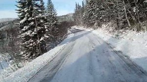 Таежные тропы.