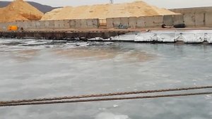Порт Пластун. Терней лес.