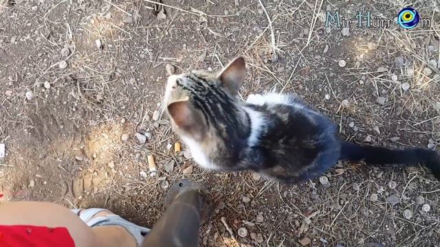 Крепость Алании. Шикарные панорамы!