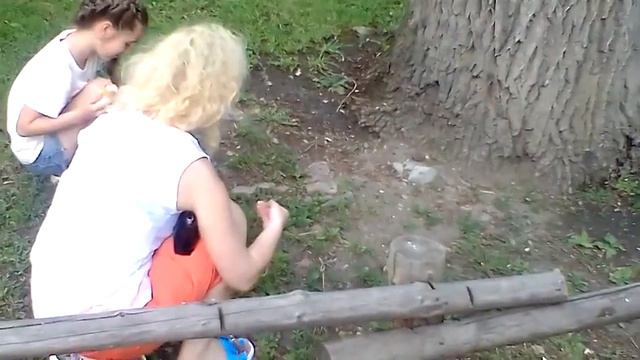 Белка кормится из рук. Ржака смотреть онлайн