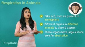 Life Process - 8 | Respiration in Animals | CBSE Class 10