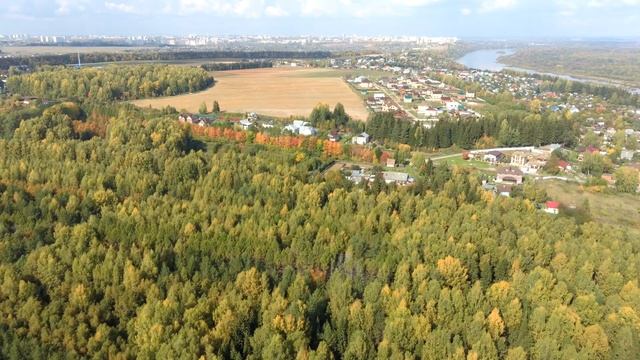 Елки-парк. смотреть онлайн