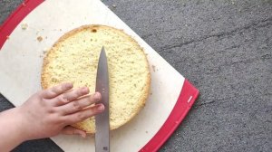 Невероятный МУССОВЫЙ торт с КИВИ с желейной прослойкой из киви и ванильного бисквита со сливками