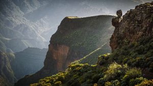 Inti-Illimani, John Williams, Paco Peña. Crónicas De Una Ausencia