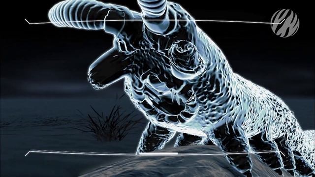 Velvet worm slimes its prey смотреть онлайн