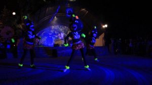 Ночь в зоопарке: выступление