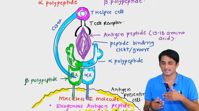 Immunology: MHC Molecules | GATE Biotechnology смотреть онлайн