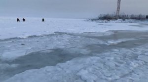 В поисках морских звёзд зимой | Японское море