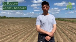 Матейко F1 - лук порей компании Райк Цваан