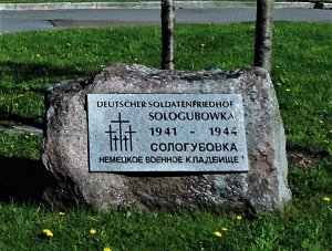 Самое большое в России немецкое кладбище находится в Сологубовке