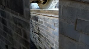 Замена ремня ГРМ ауди 100 с445 AAD