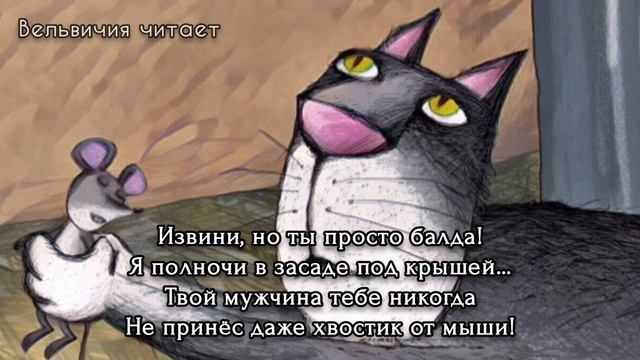 Очень смешно. Стих про кота. Подарок - Дмитрий Купревич