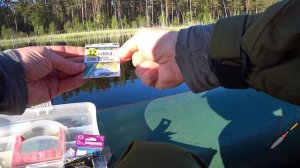 Озеро Нарядное. Рыбалка на поплавок с лодки. Щука срывает плотву с крючка! Fishing from a boat. Pik