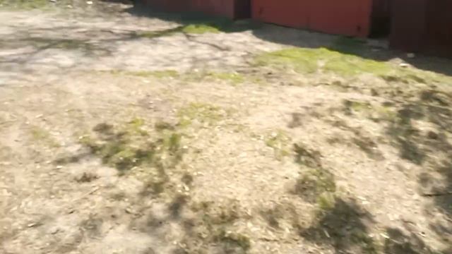 Баджадж боксер после встречи с мерседесом последствия смотреть онлайн