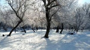 Богучар. Зимний ролик. Февраль 2023 года