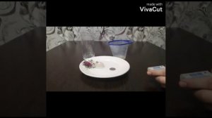 опыт «Сухим из  воды