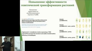 Генная инженерия и геномное редактирование растений