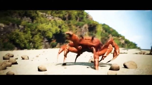 патанцуем крабика песня до 7 лет смотреть онлайн