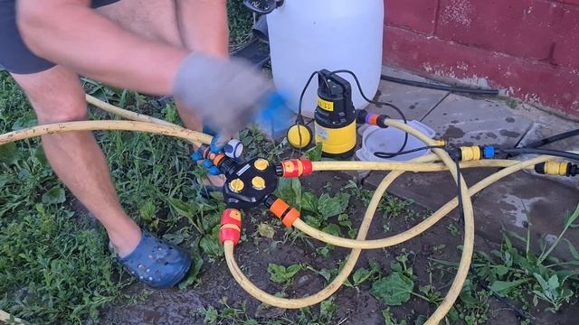 УХОД ЗА КЛУБНИКОЙ / ЗЕМЛЯНИКОЙ САДОВОЙ | (уход, питание, узел фертигации в домашних условиях) смотреть онлайн